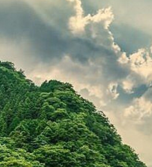茶坊舞蹈艺术