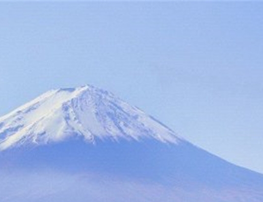 人虫儿