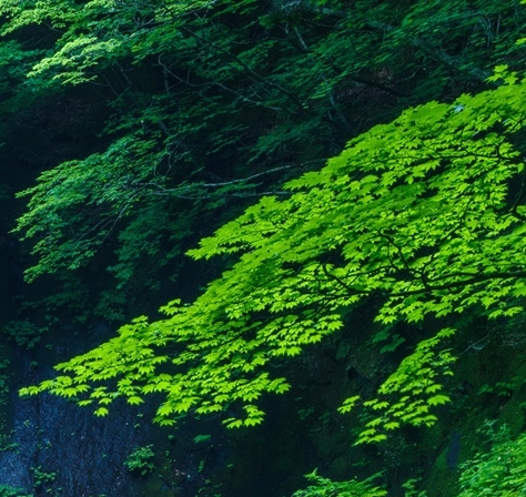 京东商城电话