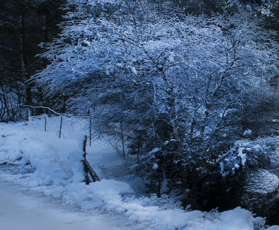 生活仁川