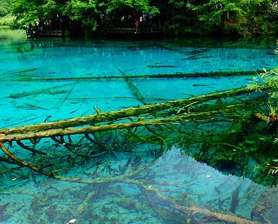 大婶情感电台