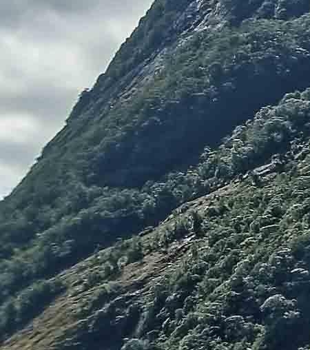 财神爷日历挂画能扔吗