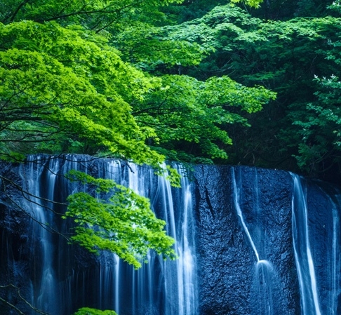 南昌绿地左岸商城