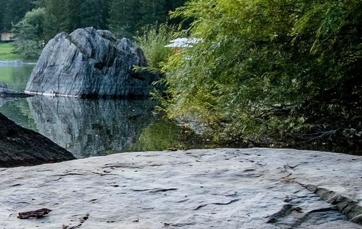 酉阳站到酉阳县城