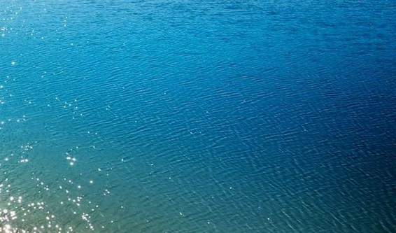 鄂鱼生活在水中吗