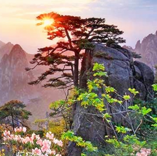艺术插花成都