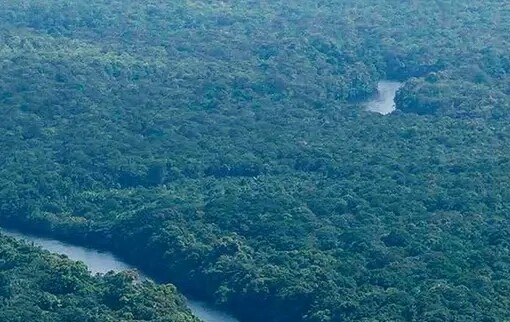 免费情感电台