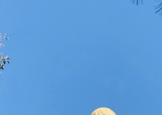 中西方思维