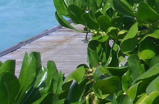 度假岛蓝海湾