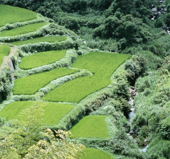 榆社购物去哪里