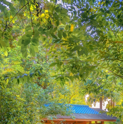 艺术经济学就业前景