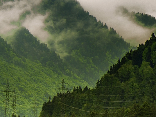 航航情感戏