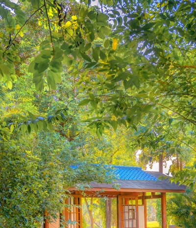 情书 小樽