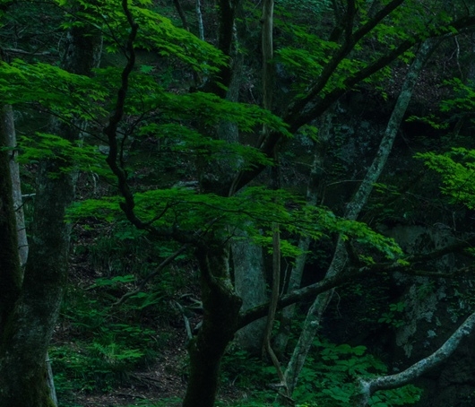 热门情感伤画面