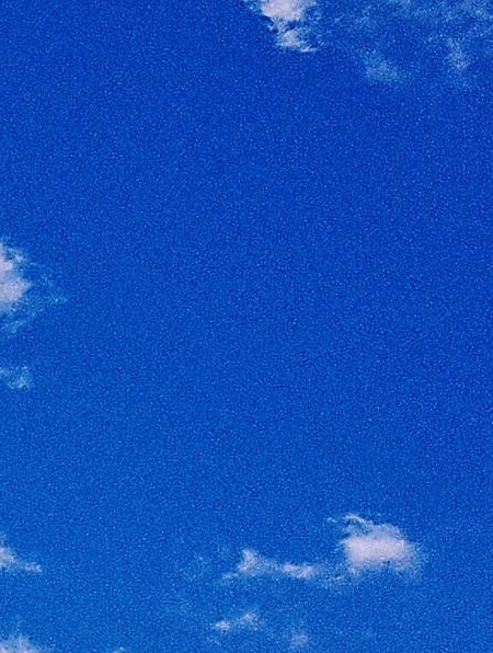 简言的情感
