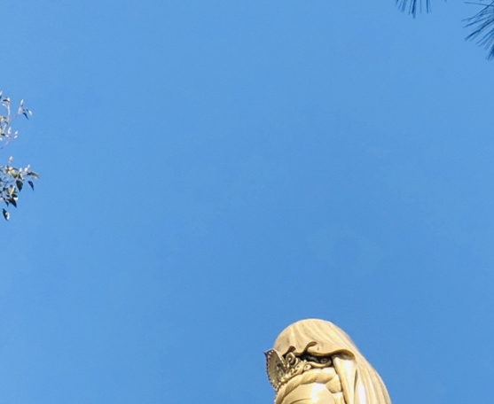 中国情感专家有哪些人
