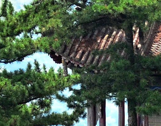艺术生归来