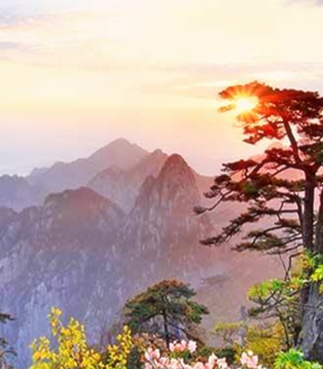 原色官方商城